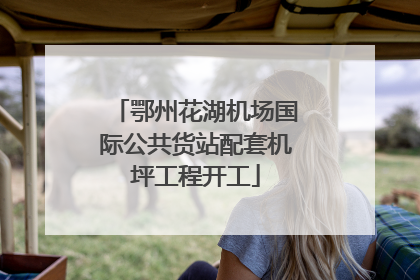 鄂州花湖机场国际公共货站配套机坪工程开工