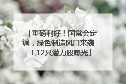 重磅利好！国常会定调，绿色制造风口来袭！12只潜力股曝光