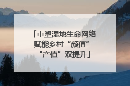 重塑湿地生命网络 赋能乡村“颜值”“产值”双提升