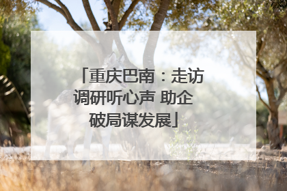 重庆巴南：走访调研听心声 助企破局谋发展