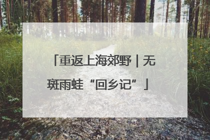 重返上海郊野｜无斑雨蛙“回乡记”