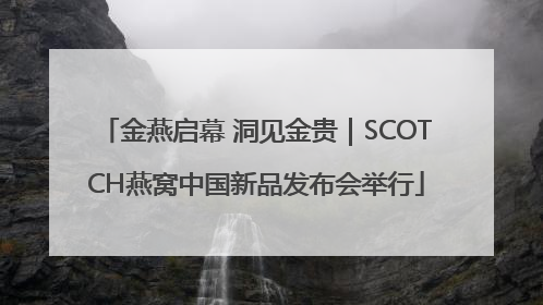 金燕启幕 洞见金贵｜SCOTCH燕窝中国新品发布会举行
