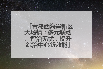 青岛西海岸新区大场镇：多元联动、智治无忧，提升综治中心新效能