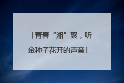 青春“湘”聚，听金种子花开的声音
