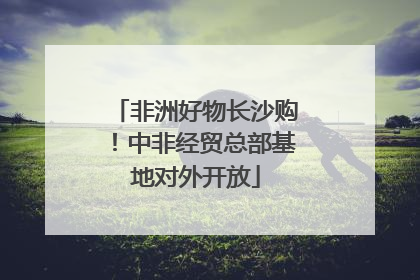 非洲好物长沙购！中非经贸总部基地对外开放