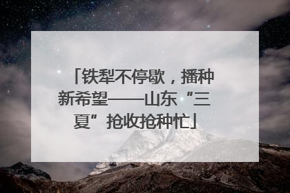 铁犁不停歇，播种新希望——山东“三夏”抢收抢种忙