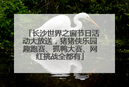 长沙世界之窗节日活动大放送，猪猪侠乐园趣跑赛、抓鸭大赛、网红挑战全都有