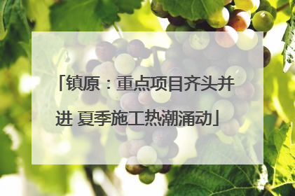 镇原：重点项目齐头并进 夏季施工热潮涌动