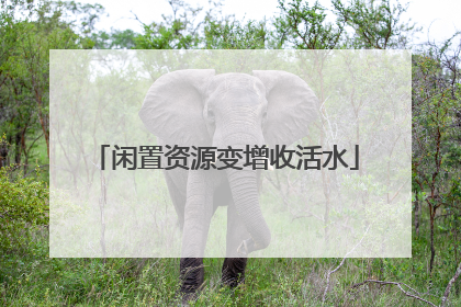 闲置资源变增收活水