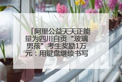 阿里公益天天正能量为四川自贡“玻璃男孩”考生奖励1万元：用键盘继续书写不设限的人生