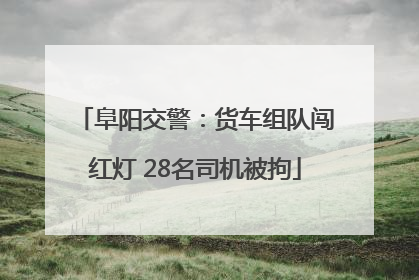 阜阳交警：货车组队闯红灯 28名司机被拘