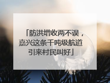 防洪增收两不误，嘉兴这条千吨级航道引来村民叫好