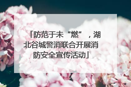 防范于未“燃”，湖北谷城警消联合开展消防安全宣传活动