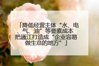 降低经营主体“水、电、气、油”等要素成本 把通江打造成“企业容易做生意的地方”