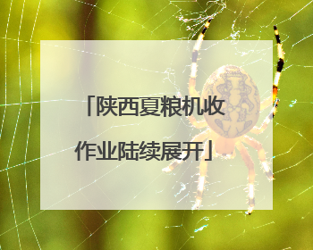 陕西夏粮机收作业陆续展开