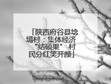 陕西府谷县埝墕村：集体经济“结硕果” 村民分红笑开颜