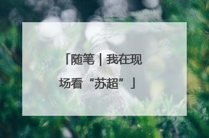 随笔｜我在现场看“苏超”
