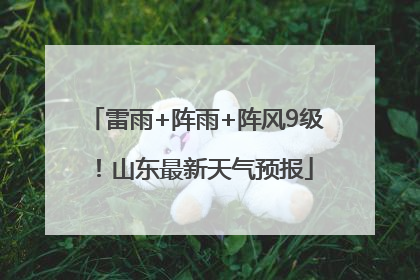 雷雨+阵雨+阵风9级！山东最新天气预报