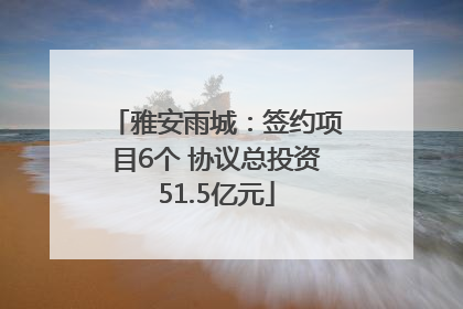 雅安雨城：签约项目6个 协议总投资51.5亿元