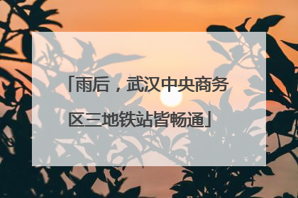 雨后，武汉中央商务区三地铁站皆畅通