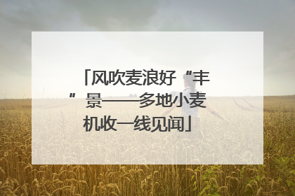 风吹麦浪好“丰”景——多地小麦机收一线见闻