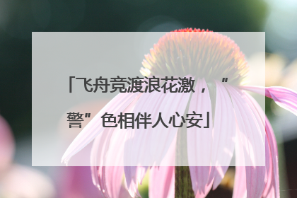 飞舟竞渡浪花激，“警”色相伴人心安