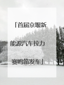 首届京堰新能源汽车拉力赛鸣笛发车