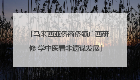 马来西亚侨商侨领广西研修 学中医看非遗谋发展