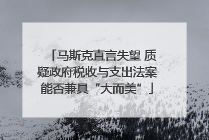 马斯克直言失望 质疑政府税收与支出法案能否兼具“大而美”