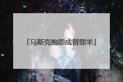 马斯克抱怨成替罪羊