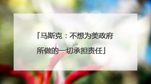 马斯克：不想为美政府所做的一切承担责任