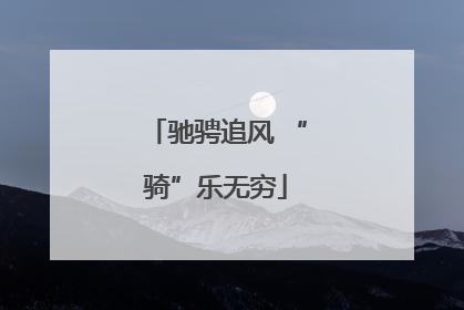 驰骋追风 “骑”乐无穷