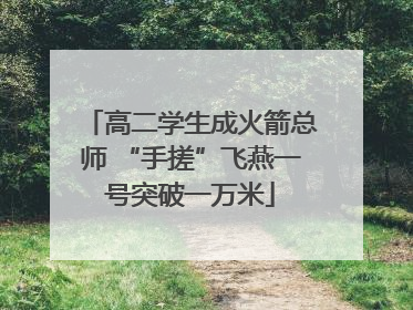 高二学生成火箭总师 “手搓”飞燕一号突破一万米
