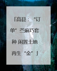 高县：“订单”苎麻巧套种 闲置土地再生“金”
