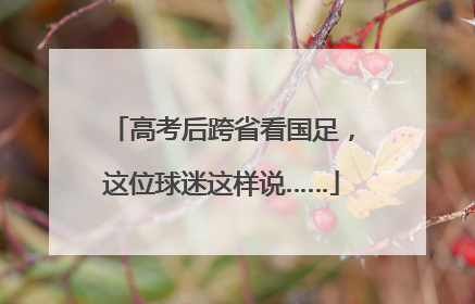 高考后跨省看国足，这位球迷这样说……