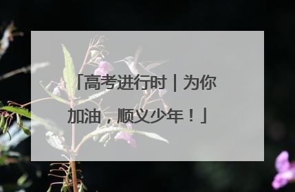 高考进行时｜为你加油，顺义少年！