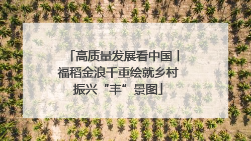 高质量发展看中国丨福稻金浪千重绘就乡村振兴“丰”景图