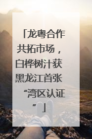 龙粤合作共拓市场，白桦树汁获黑龙江首张“湾区认证”