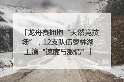 龙舟赛拥抱“天然竞技场”，12支队伍枣林湖上演“速度与激情”