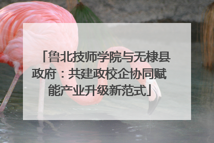 鲁北技师学院与无棣县政府：共建政校企协同赋能产业升级新范式