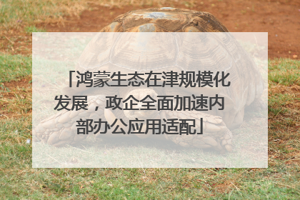 鸿蒙生态在津规模化发展，政企全面加速内部办公应用适配