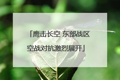 鹰击长空 东部战区空战对抗激烈展开