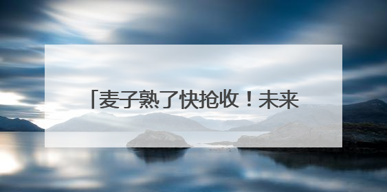 麦子熟了快抢收！未来三天河南大部天气晴好