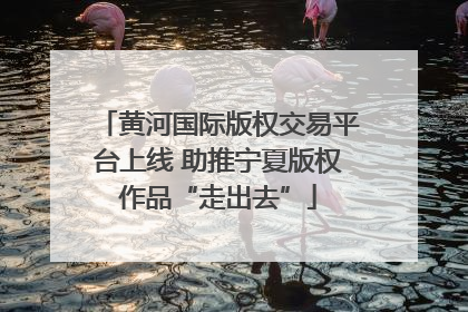 黄河国际版权交易平台上线 助推宁夏版权作品“走出去”