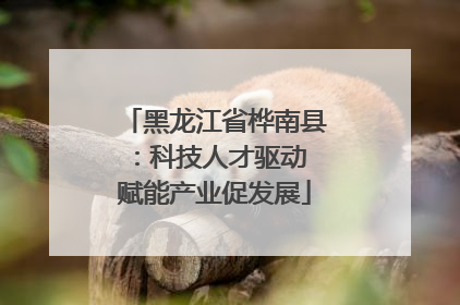 黑龙江省桦南县：科技人才驱动 赋能产业促发展