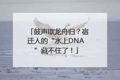 鼓声歇龙舟归？宿迁人的“水上DNA”藏不住了！