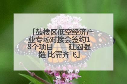 鼓楼区低空经济产业专场对接会签约18个项目——建圈强链 比翼齐飞
