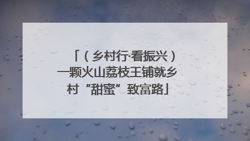 （乡村行·看振兴）一颗火山荔枝王铺就乡村“甜蜜”致富路