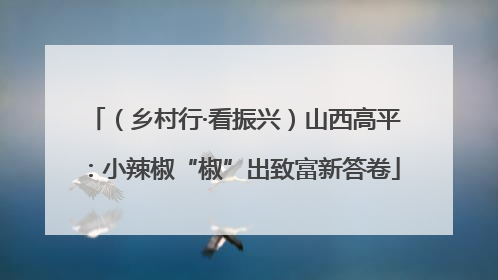 （乡村行·看振兴）山西高平：小辣椒“椒”出致富新答卷