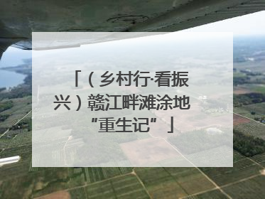 （乡村行·看振兴）赣江畔滩涂地“重生记”